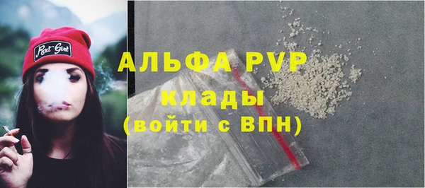 Альфа ПВП Инсар